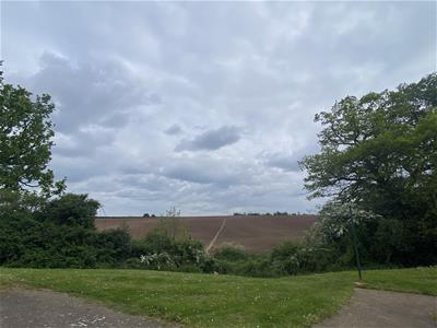 Picture 12
